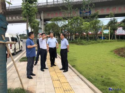 市人大调研咸嘉生态文化城镇带（咸安段）工作