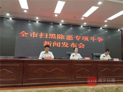 快讯|上半年，咸宁打掉200个黑恶团伙，5名县级党员干部涉及“保护伞”案件