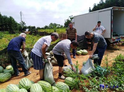 贺胜桥镇：贫困户滞销西瓜有了出路