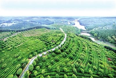 咸安，怎样建好农村路？