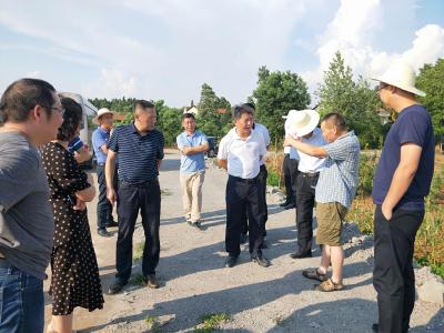 李文波深入一线督办指导抗旱工作 