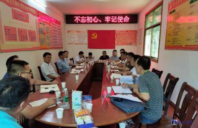 区领导在大幕乡开展“不忘初心、牢记使命”先学先改调研活动