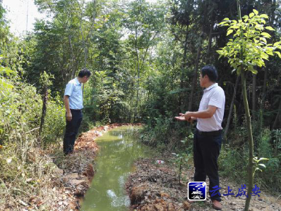 官埠桥镇：战高温抢修保苗