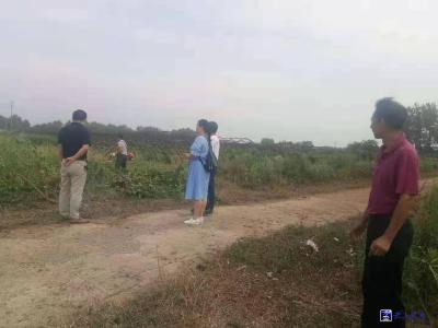 向阳湖奶牛场积极开展秋冬农业生产