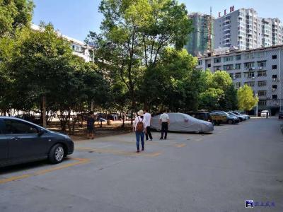 咸安区供销社：创文新风扑面来