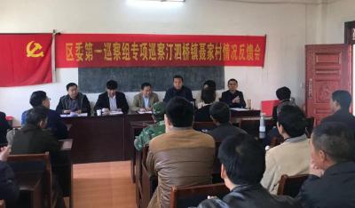 区委第一巡查组专项巡察汀泗桥镇聂家村情况反馈会