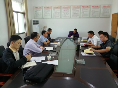 市委第一巡回指导组到双溪桥镇开展主题教育调研指导