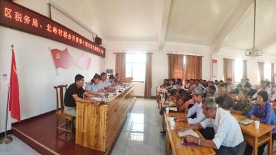 党建融合增活力，为民服务赢好评——区税务局、向阳湖镇北岭村联合开展支部主题党日活动