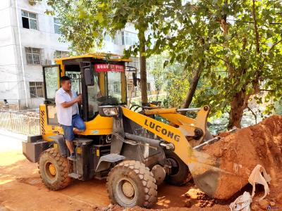 向阳湖镇宝塔社区多举措全方位开展创文工作 