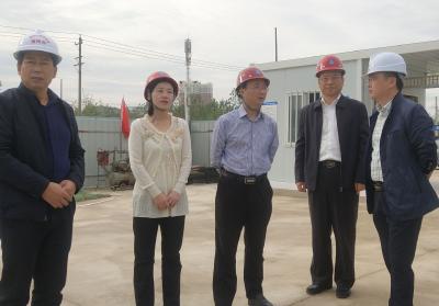 区领导调研督查省级公共文化服务体系示范区创建工作