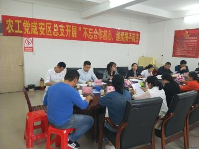 农工党咸安区总支开展“不忘合作初心，继续携手前进”主题教育活动