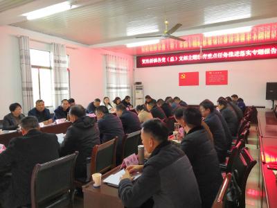 主题教育回头看 全面梳理抓落实