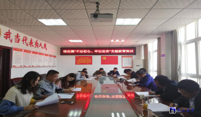 区委第三巡回指导组对桂花镇主题教育工作进行督促指导