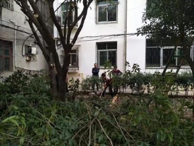 闹心小区变暖心小家