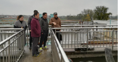 省生态环境专家调研高桥河周边环境