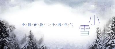 今日小雪，飞雪如花落 岁岁又年年