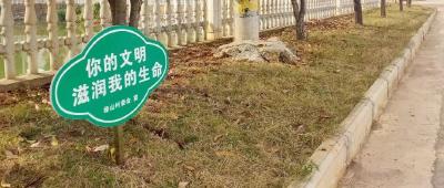 向阳湖镇绿山村多举措建设美丽乡村