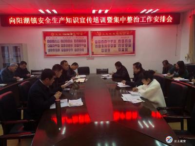 向阳湖镇召开安全生产知识宣传暨集中整治工作安排会