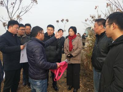 农业农村部调研督查咸安区高标准农田建设