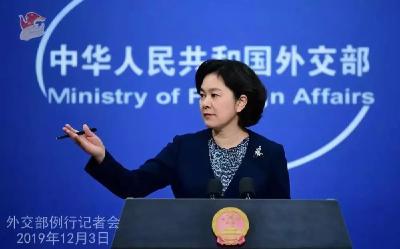 “非常像祥林嫂”，华姐姐又出新词汇了…