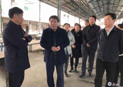 咸安区开展创建全国文明城市拉练检查活动