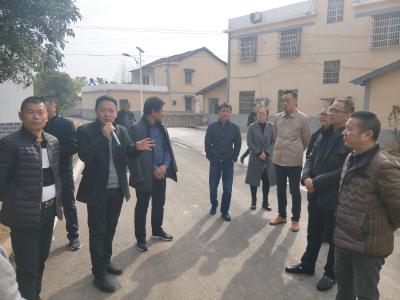 全市农村人居环境整治现场会在咸安召开