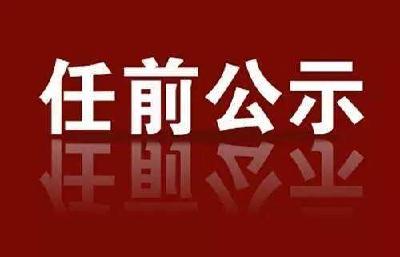 关于对万龙等同志进行任前公示的通知