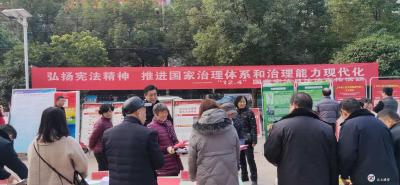 区自然资源和规划局开展第六个“国家宪法日”集中宣传活动