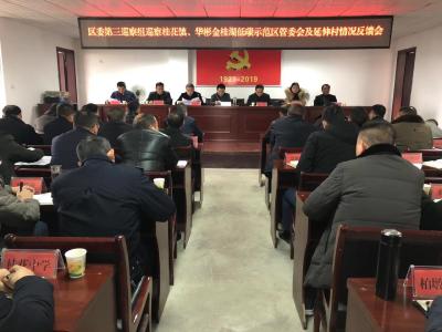 区委第三巡察组对桂花镇开展巡察反馈