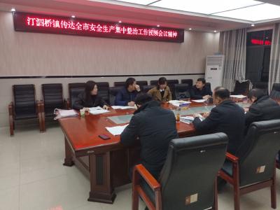 汀泗桥镇：仔仔细细排隐患  平平安安过大年