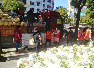 暖心！福建爱心企业向咸安区捐赠20吨萝卜