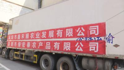 深圳爱心企业捐赠蔬菜助力咸安疫情防控