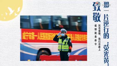 致敬那一片逆行的“荧光黄”