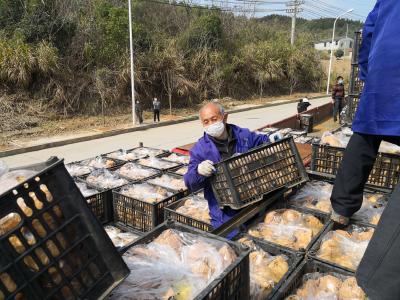 辽宁省绥中县向咸安区捐赠84吨“爱心苹果”