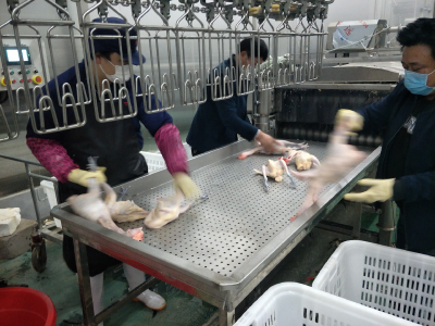 咸安区启动肉禽集中屠宰，有效保障市场供给