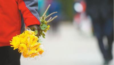 区民政局：暂停清明祭扫 推行三项服务