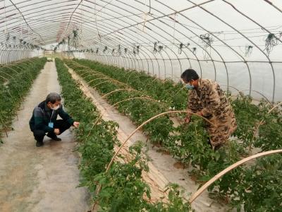 监测预警早行动   双防双控抓落实