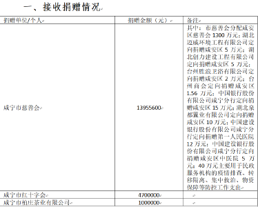 咸安区接受捐赠物资资金公示（九）