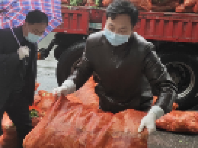 贵州4吨蔬菜定向捐赠全区养老机构