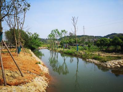 李文波到白水畈田园综合体建设区调研 现场办公推进项目建设