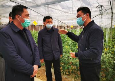 魏朝东调研开发区在建项目开工和企业复工复产情况