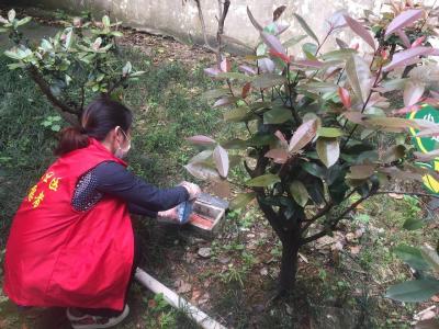 ​ 【环境综合整治】花坛社区开展“万人洁城”环境综合大整治活动