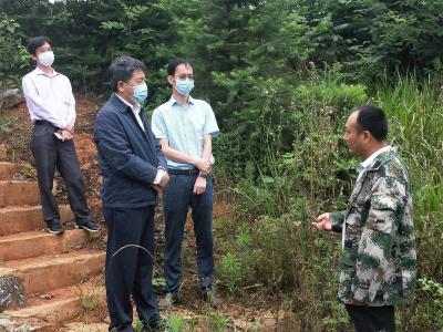 【咸安高质量发展“六大”活动】李文波在贺胜桥镇调研时强调：  要以“六大活动”为抓手，统筹做好各项工作