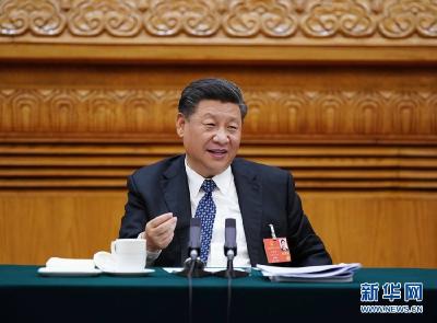 习近平参加湖北代表团审议