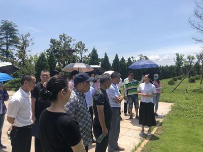 区医疗保障局组织开展祭扫烈士陵园主题党日活动