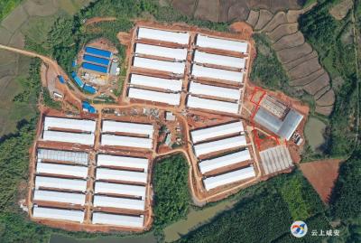 巧抓温氏“鸡”遇，带富一方百姓