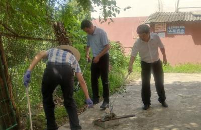 区政府办开展“环境卫生大扫除”主题党日活动