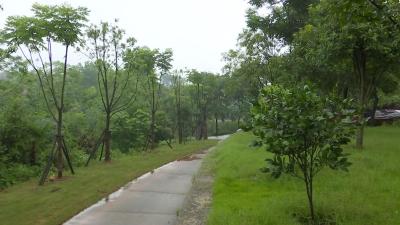 文明创建进行时——袁铺村：“两手抓”  建设美丽新农村