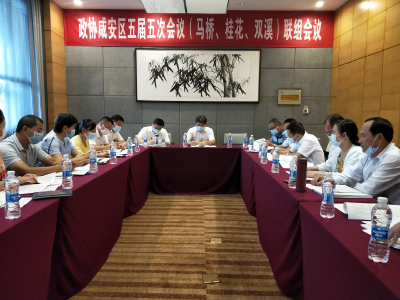 【“两会”特别报道】李文波参加政协马桥、桂花、双溪联组讨论