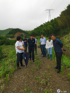 高桥河市、区两级河长徒步巡河